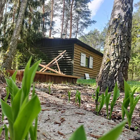 Forest House بيت للعطل Zegrze Poludniowe