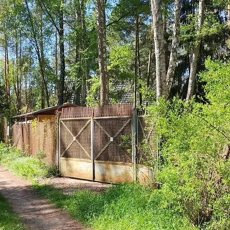 Dom wakacyjny Forest House *